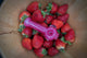 Collectable Glitter Pipe: Liquid Filled & Freezable -Strawberry Cough Sparkle Stingray Glass Piece