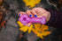 GLASS. LAB Grape Ape Stingray Glitter Pipe