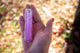 Grape Ape Minnow Glitter Bat